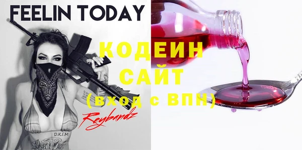 соль ск Пересвет