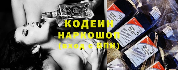 PSILOCYBIN Покачи
