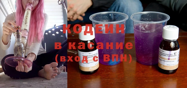 соль ск Пересвет