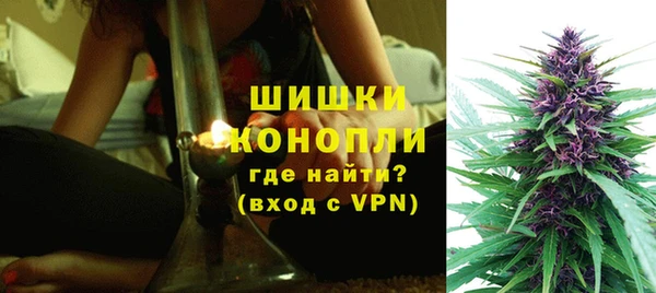 соль ск Пересвет