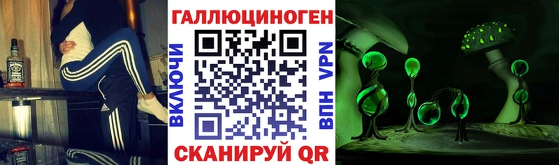 Галлюциногенные грибы GOLDEN TEACHER  хочу   Выборг 