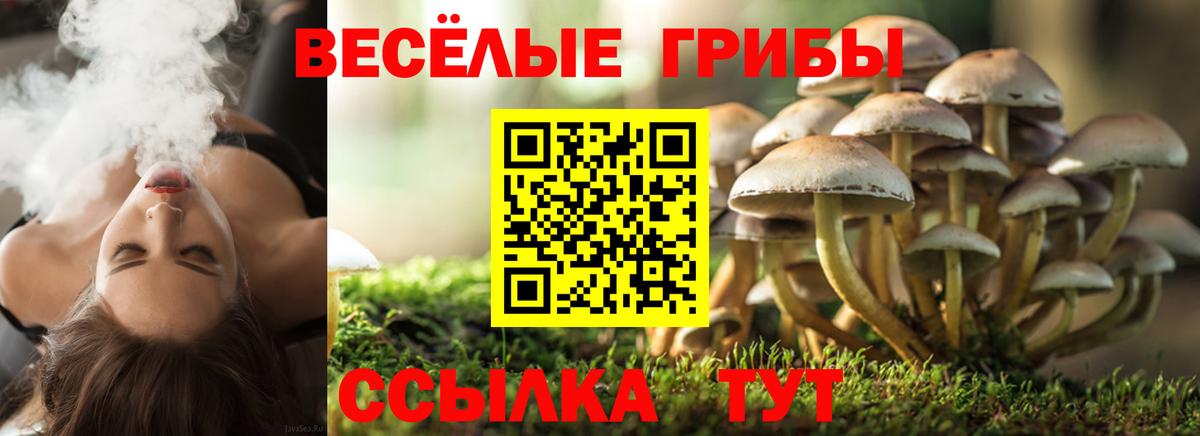 Псилоцибиновые грибы GOLDEN TEACHER Выборг